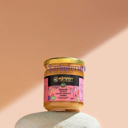 Eğriçayır Organik Arı Sütü-Bal-Propolis Karışımı 240G (Beekids) resmi